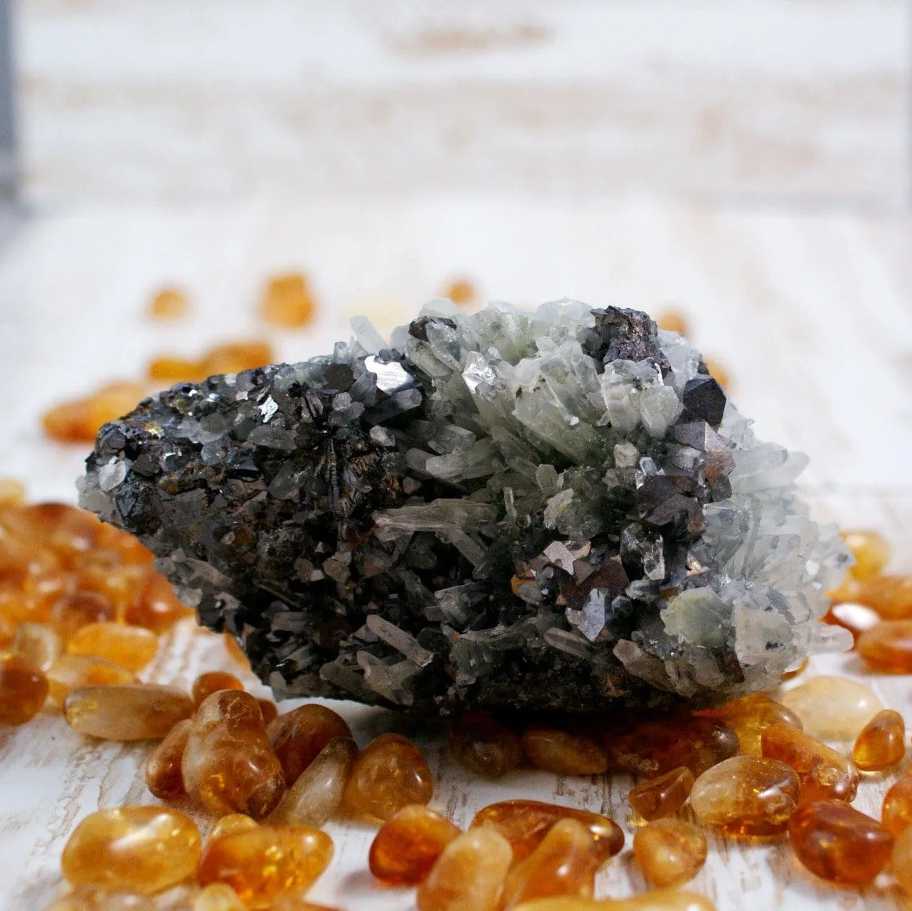 Bulgarian Galena and Quartz w Pyrite