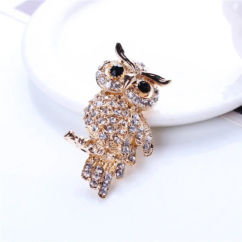 For Weddings S  Brooches Gold Plated Owl Style Shiny Crystal Inlay Lady Jewelry Rhinestone Brooches SM6