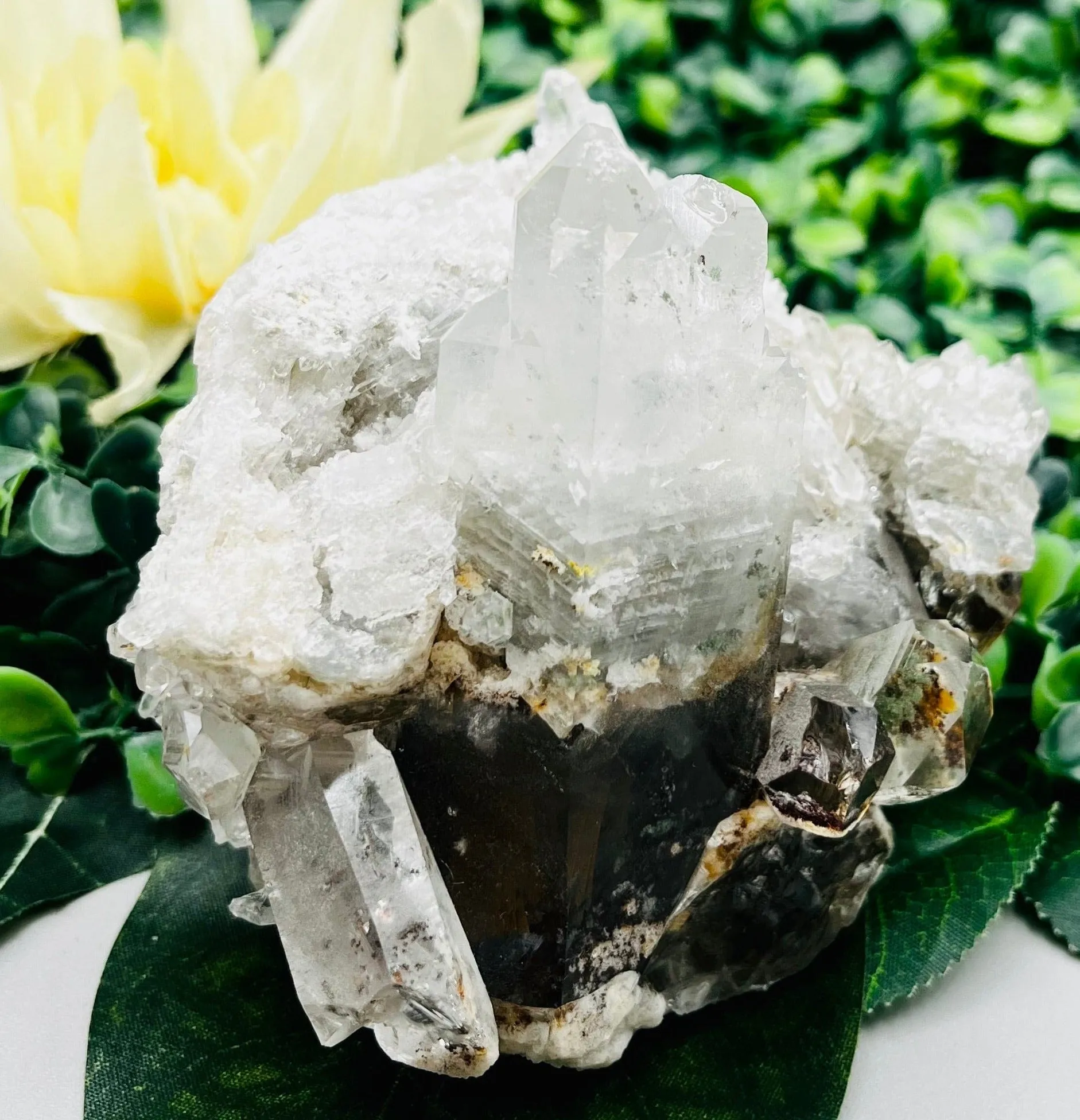 Garden Quartz Specimen