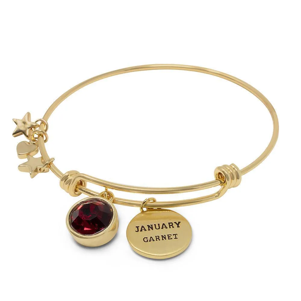 Handmade 20kt Gold Plated Crystal Birthstone January