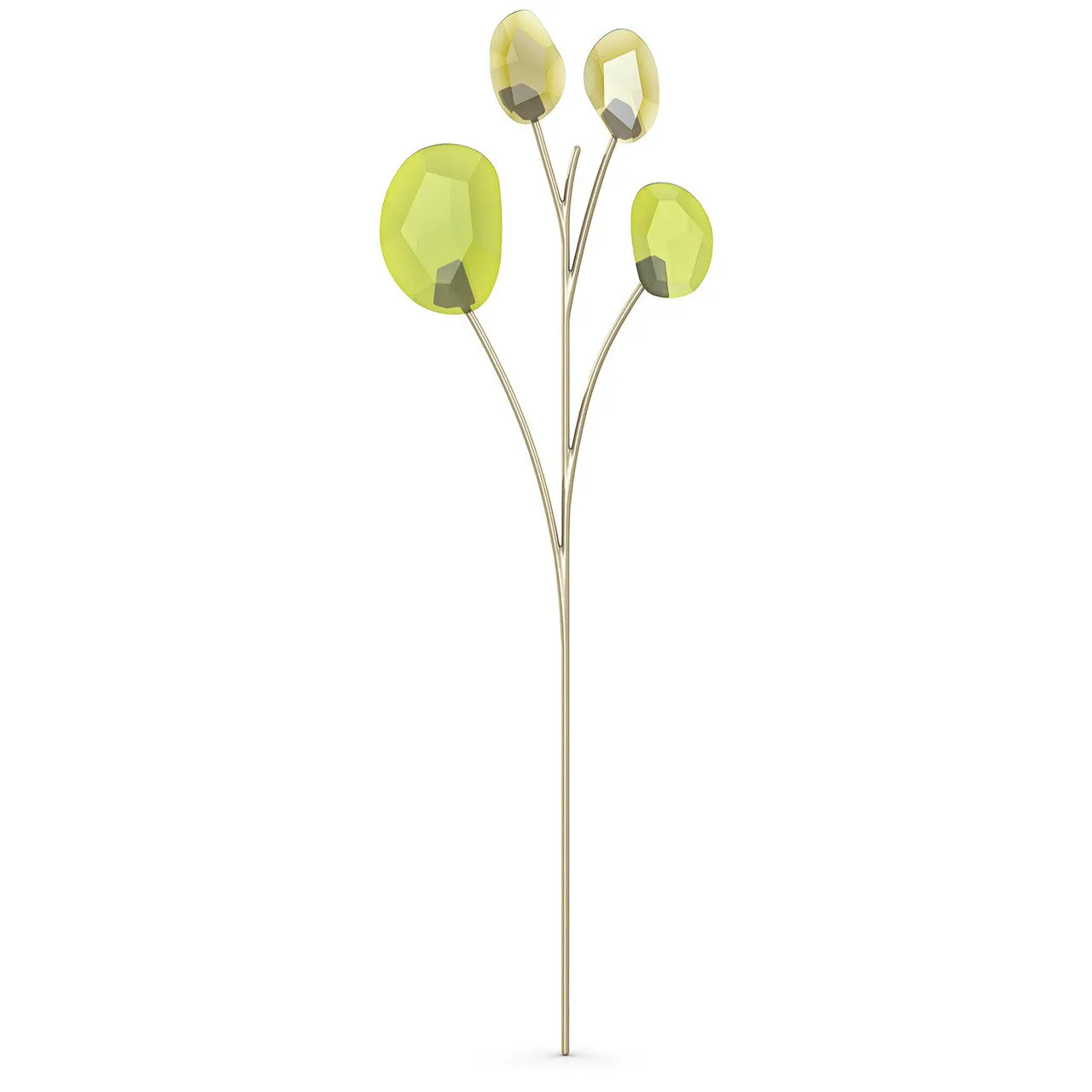 Swarovski Garden Tales Eucalyptus Flower Decoration, Green- 5557803